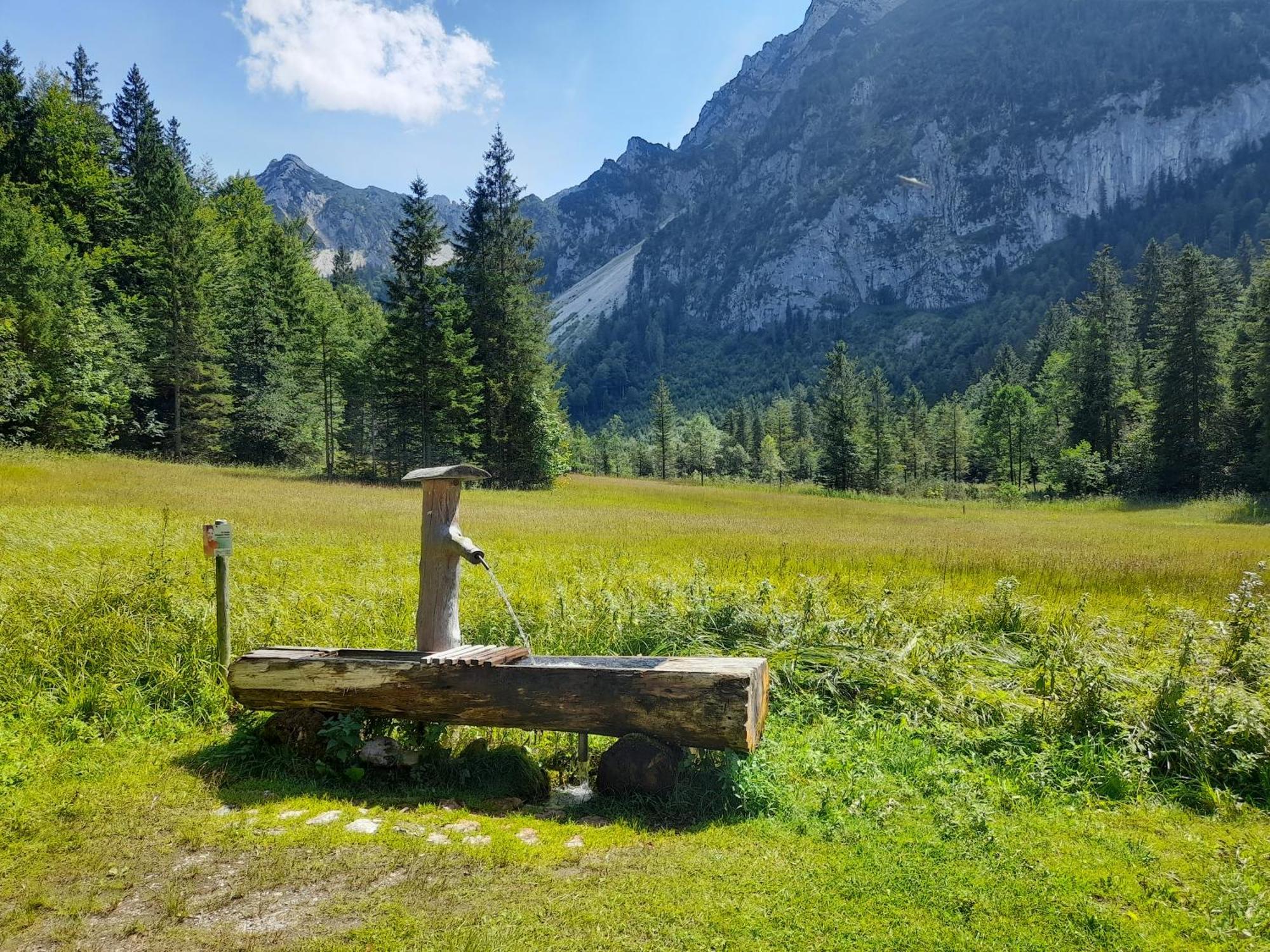 Im Naturgarten Teisendorf Bagian luar foto